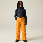 Pantalon de ski enfant Dare 2b Outmove III Insulated Pant ElectricOrng