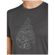 T-shirt femme Icebreaker Women Merino 150 Tech Lite SS Tee Hike Path