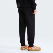 Pantalons de survêtement hommes The North Face M Evolution Simple Dome Regular Jogger