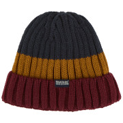 Bonnet d'hiver Regatta Davion Hat V