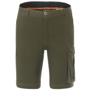 Shorts homme Regatta Bendrick Shorts vert Dark Khaki