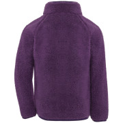 Sweatshirt enfant Didriksons Gibbs Kids Fullzip 2 Northen Purple
