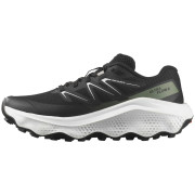 Chaussures femme Salomon Ultra Flow 2 W