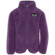 Sweatshirt enfant Didriksons Gibbs Kids Fullzip 2 Northen Purple violet Northen Purple