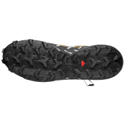 Chaussures homme Salomon Speedcross 6 20 Years