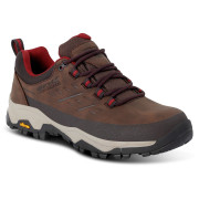 Chaussures femme Regatta Womens Blake Low