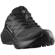 Chaussures homme Salomon Alphaglide Gore-Tex