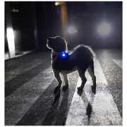 Lumière pour chien Curli Luumi Safety LED Lights rechargeable