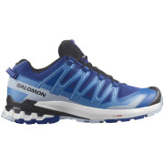 Chaussures homme Salomon Xa Pro 3D V9