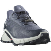 Chaussures de running hommes Salomon Supercross 4 Gore-Tex gris / blanc Grisaille / White / Carbon