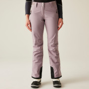 Pantalon de ski femme Dare 2b Diminish Pant