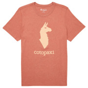 T-shirt homme Cotopaxi Cotopaxi Llama T-Shirt