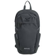 Sac à dos Regatta Prism 20L noir Ash