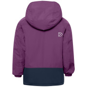 Veste d'hiver enfants Didriksons Talvi Kids Jkt 2 Northen Purple