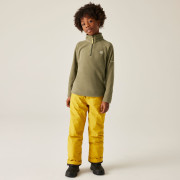 Sweatshirt enfant Dare 2b Freehand Fleece MartiniOlive