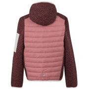 Veste enfant Regatta Junior Newhill Hybrid