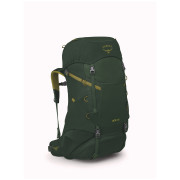 Sac à dos enfant Osprey Ace 38 vert green canopy/matcha green