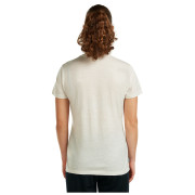 T-shirt femme Icebreaker Women Merino 150 Tech Lite SS Tee Bird Transit