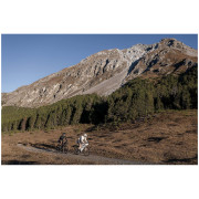 Sacoche de cadre Cyclite Frame Bag Small / 02