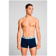 Caleçon homme Puma Everyday Multi Logo Boxers 2P