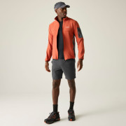 Shorts homme Regatta Anti-Insect Travel Light Shorts