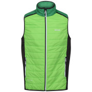 Gilet homme Regatta Halton B/W VII green Jasmine Green/Field Green