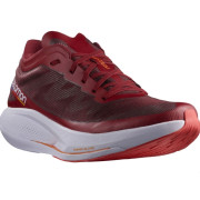 Chaussures de running hommes Salomon Phantasm