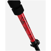 Bâtons de ski alpin Black Crows Duos Freebird