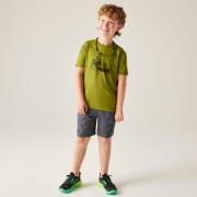 T-shirt enfant Dare 2b Amuse III Tee Goldn Cypress