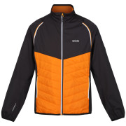 Veste homme Regatta Steren Hybrid orange Orange Pepper/Ash