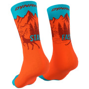 Chaussettes Dynafit Stay Fast Sk orange lowa