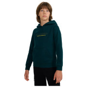 Sweatshirt enfant 4F Sweatshirt M1959