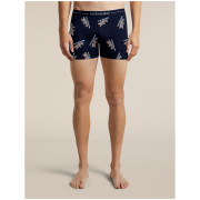 Caleçons fonctionnels homme Icebreaker Men M 150 Anatomica Boxers BearTourAOP