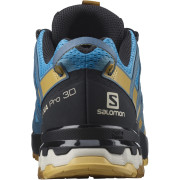 Chaussures de running hommes Salomon Xa Pro 3D V8