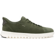 Chaussures homme Geox U Flextride Plus vert MUSK