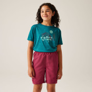 T-shirt enfant Regatta Alvarado IX