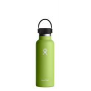 Bouteille isotherme Hydro Flask Standard Mouth 18 oz vert clair Seagrass