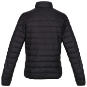 Veste femme Regatta Womens Hillpack