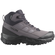 Chaussures femme Salomon Crosstrak Waterproof