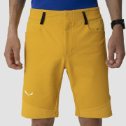 Short homme Salewa Agner Dst M Shorts.