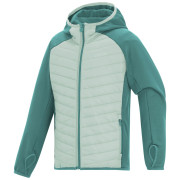 Veste enfant Regatta Junior Andreson Hybrid IvyMossOMist