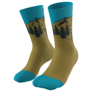 Chaussettes Dynafit Stay Fast Sk vert - bleu army/8070