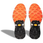 Chaussures de running hommes Dynafit Ultra 100 V3