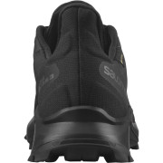 Chaussures femme Salomon Alphacross 3 Gore-Tex