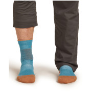Chaussettes chaudes pour homme Icebreaker Men Merino Hike+ Heavy Crew