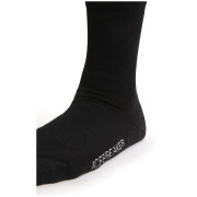 Chaussettes femme Icebreaker W Lifestyle Light Crew