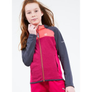 Sweatshirt enfant Dare 2b Hasty Core Stretch