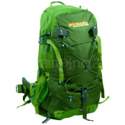 Sac à dos Pinguin Vector 35 (2019) green