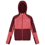 Sweatshirt enfant Regatta Dissolver VII rouge Mineral Red/Burgundy