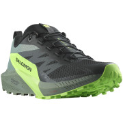 Chaussures de running hommes Salomon Sense Ride 5 noir/vert Black